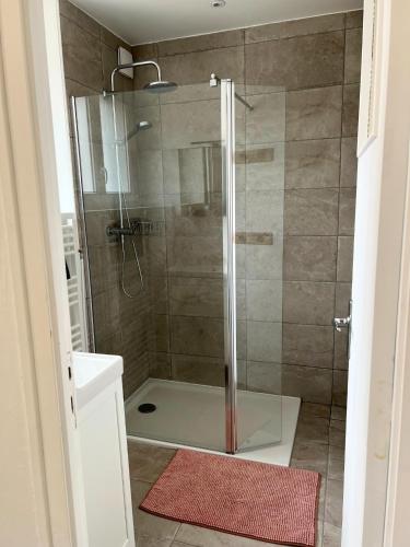 a shower with a glass door in a bathroom at Charmant gîte au cœur des vignes - Rive de Champagne in Vandières-sous-Chatillon