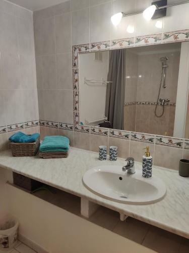 une salle de bain avec un lavabo et un miroir dans l'établissement La colline du Blavet, à Roquebrune-sur Argens