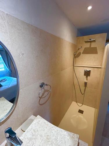 une salle de bain avec douche, toilettes et miroir dans l'établissement Appartement Lumineux Avignon Intra-muros au calme, à Avignon