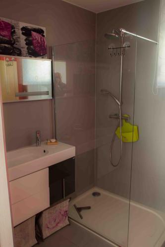 a bathroom with a shower with a sink and a toilet at Studio la clé des champs in Sélestat