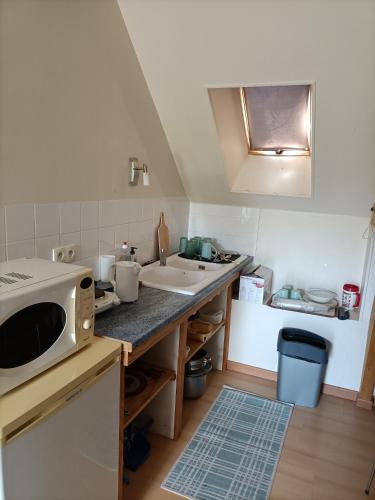 une cuisine avec un évier et un micro-ondes sur un comptoir dans l'établissement Studio tout confort au calme, à Mayet