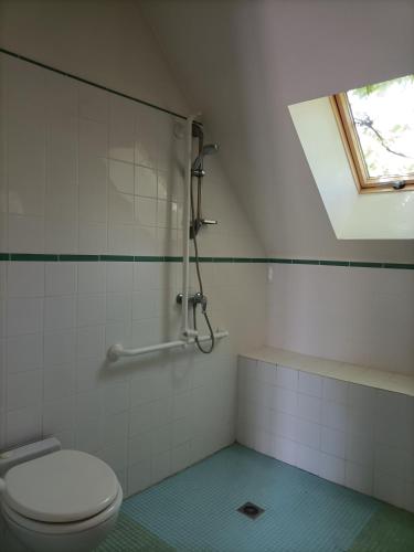 La salle de bains est pourvue de toilettes, d'une douche et d'une fenêtre. dans l'établissement Studio tout confort au calme, à Mayet