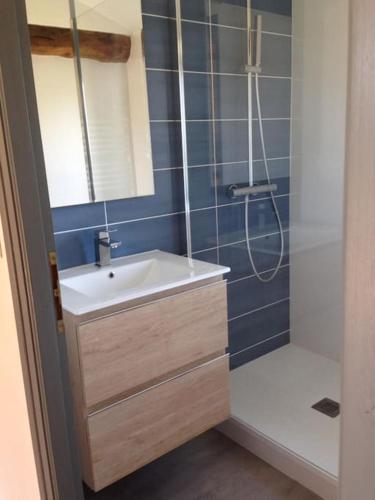 une salle de bain avec un lavabo et une douche dans l'établissement Grande ferme avec piscine, à Saint-Médard-en-Forez