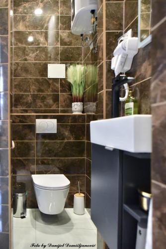 a bathroom with a toilet and a sink at Studio apartman CENTAR in Ðurđevac