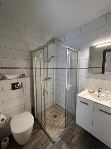 a bathroom with a shower and a toilet and a sink at Hôtel de la jetée in Centuri