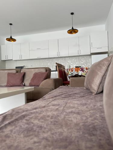 a living room with a bed and a couch at Entire Apartment - near the Center in Pristina