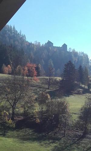 a field with trees and a castle in the distance at Gasthof Hubertus in Saalfelden am Steinernen Meer