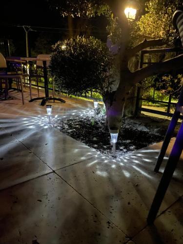 a group of lights in front of a tree at night at Hotel Clair de Lune in Zonza