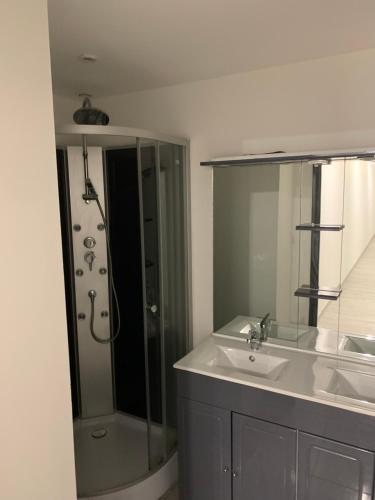 une salle de bain avec un lavabo et une douche avec un miroir dans l'établissement Location vacances, à Muzillac