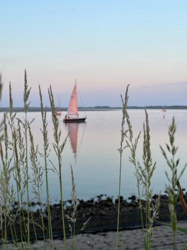 a boat in the water with a sailboat in the water at Vakantiewoning De Bosrand Aan Zee in Sint Annaland