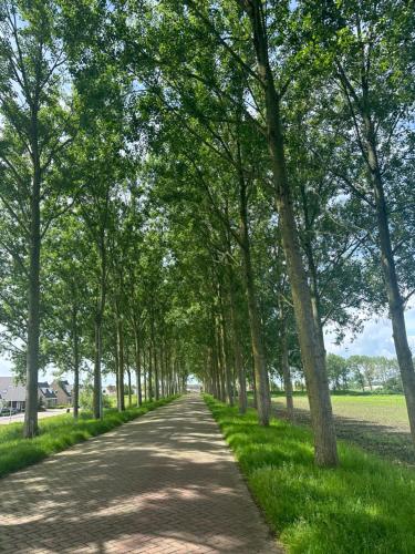 a tree lined dirt road with green grass at Vakantiewoning De Bosrand Aan Zee in Sint Annaland