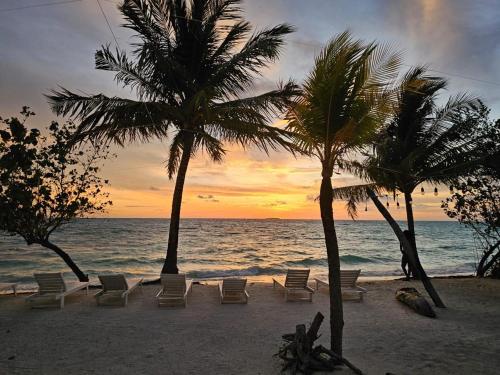 a beach with chairs and palm trees and the ocean at The Sunset Villa in Dhiffushi
