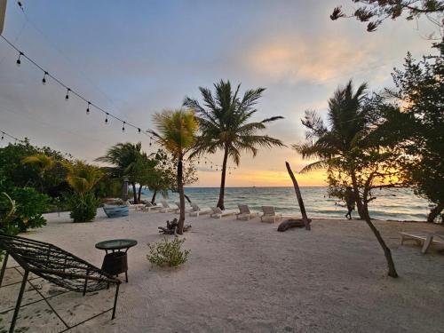 a beach with chairs and palm trees and the ocean at The Sunset Villa in Dhiffushi
