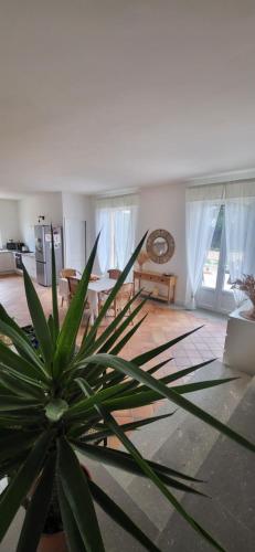 un salon avec une plante en pot au premier plan dans l'établissement Demeure la Solédad, à Monteux