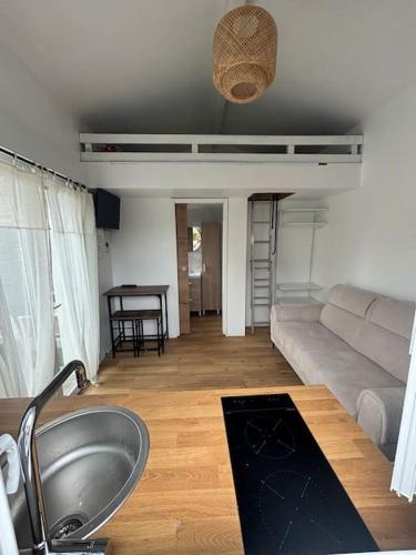 Elle comprend une salle de bains pourvue d'un lavabo et un salon doté d'un canapé. dans l'établissement Studio avec piscine partagée, à Saint-Vincent-de-Tyrosse