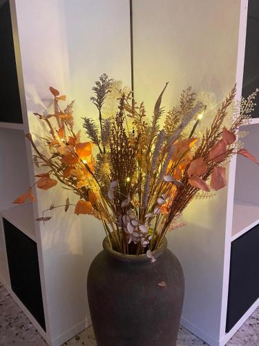 a black vase with a plant in it at Guesthouse Sprinysem in Zedelgem