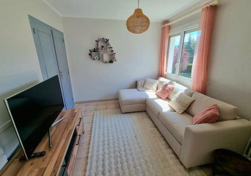un salon avec un canapé et une télévision à écran plat dans l'établissement Appartement Cosy entre Lac et Montagne, à Thonon-les-Bains