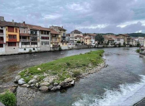a river in a town with houses and buildings at Saint-Girons, charmant studio en plein centre in Saint-Girons