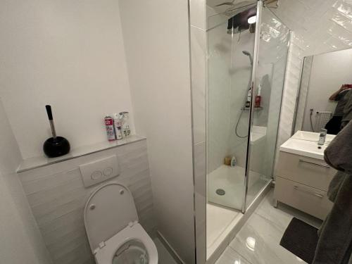 une salle de bain blanche avec toilettes et douche dans l'établissement Apparemment au cœur de Paris, à Paris