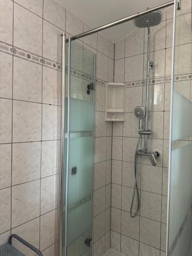 łazienka z prysznicem i szklanymi drzwiami w obiekcie Apartments Villa Engeli w mieście Vir