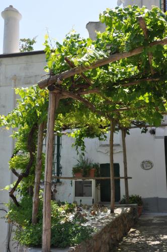 Κήπος έξω από το Casa Giosuè - Your home on the Amalfi Coast