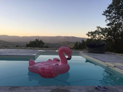 un canard en caoutchouc rose dans une piscine dans l'établissement Villa Saignon les plus beaux villages de France, à Saignon