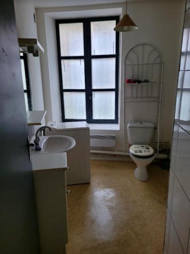 une salle de bain avec toilettes, lavabo et fenêtre dans l'établissement A DEUX MINUTES DU CHATEAU FORT de SEDAN, à Sedan