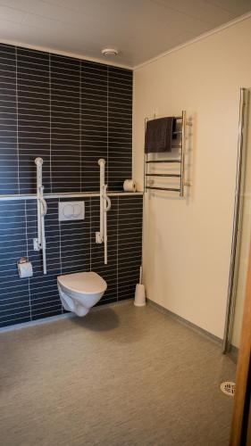 a bathroom with a toilet and a shower at Hótel Flókalundur in Brjánslækur