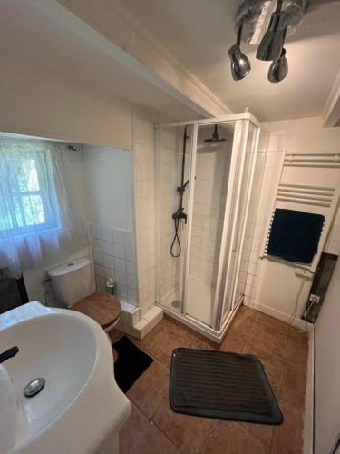 a bathroom with a shower and a toilet and a sink at chambre d'hote a la ferme in Lengronne