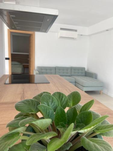 a potted plant sitting on a table in a living room at Eco del Mar in Cala d´Or