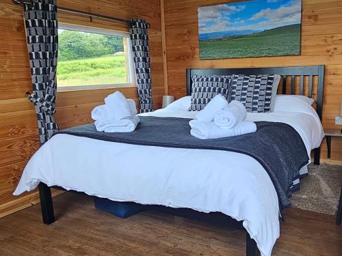Llit o llits en una habitació de Wye Valley Cabin