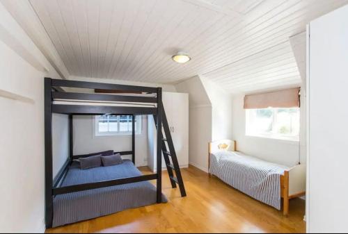 a bedroom with a bunk bed with a ladder at Spectacular nature experience at Norway's southern point! in Svenevik