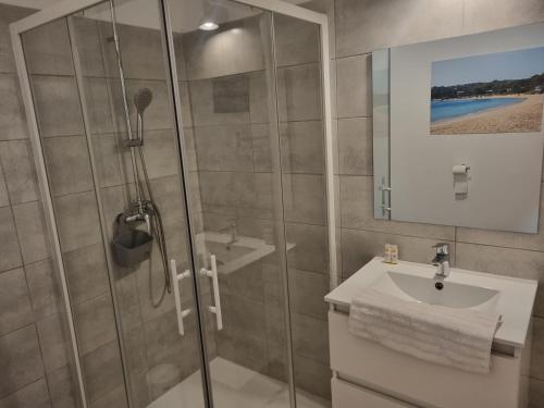 une salle de bain avec douche et lavabo dans l'établissement Fiori Di Cala Rossa Très beau studio, 2 adultes 1 enfant moins de 3 ans, au sein d'une résidence hôtelière avec piscine et plage Cala Rossa à 600m, à Lecci