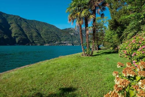 a grassy field next to a lake with palm trees at Secluded Cottage front Lake with BOAT in Valsolda