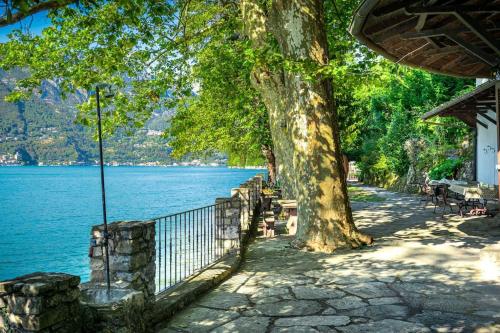 a tree and a fence next to a body of water at Secluded Cottage front Lake with BOAT in Valsolda