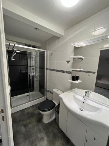 une salle de bain avec un lavabo, des toilettes et une douche dans l'établissement Grand Appartement - 2 à 6 places, à Lunel