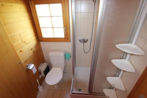 a small bathroom with a toilet and a shower at Le Gros Pâquier in La Lécherette