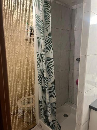 une douche avec une porte vitrée dans une salle de bain dans l'établissement Maisonette 6 pers proche plage, à Argelès-sur-Mer