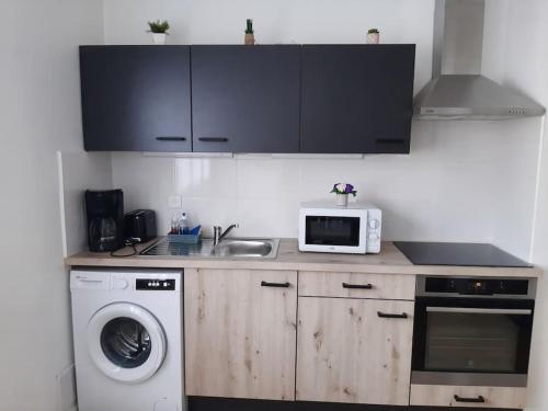 Kuchyň nebo kuchyňský kout v ubytování Appartement bord de Saône