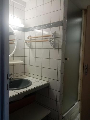 une salle de bain avec un lavabo et une douche dans l'établissement Les Caribous, à Chastreix