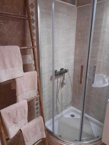 La salle de bains est pourvue d'une cabine de douche en verre. dans l'établissement Vacances au paradis, à Saint-Raphaël