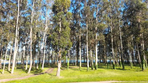 Billede fra billedgalleriet på Nido Ría i Villaviciosa