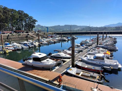 a bunch of boats are docked in a marina at Nido Ría in Villaviciosa