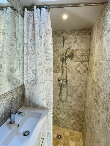 une salle de bain avec un lavabo et une douche dans l'établissement Gite de la Palme, à Lapalme