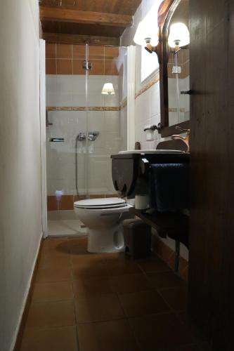 a bathroom with a toilet and a shower and a sink at Casa Chidro in Buesa