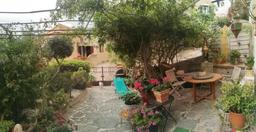 a garden with a table and a bunch of plants at Maison charmante à Monticello avec jardin privé in Monticello
