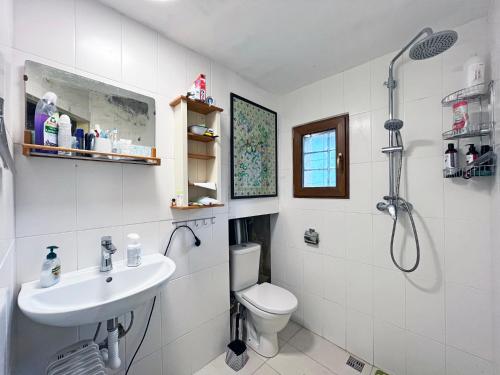 a bathroom with a sink and a toilet and a shower at Modrá chalupa in Pliešovce