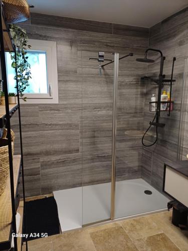une douche avec une porte vitrée dans une salle de bain dans l'établissement La Maison de Papé et Mamé, à LʼIsle-sur-la-Sorgue
