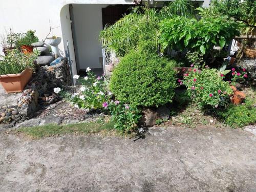 Zahrada ubytování Vieux habitants Appartement avec vue sur jardin