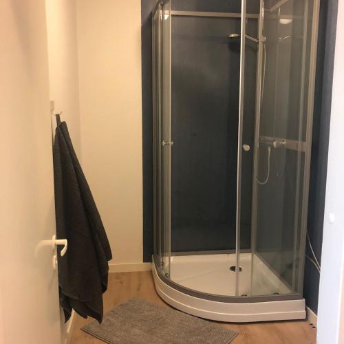 a shower with a glass door in a bathroom at Pohjoiskeskus 9 in Oulu